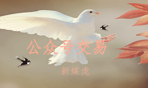 新媒虎-购买公众号费用 新媒虎-购买公众号费用