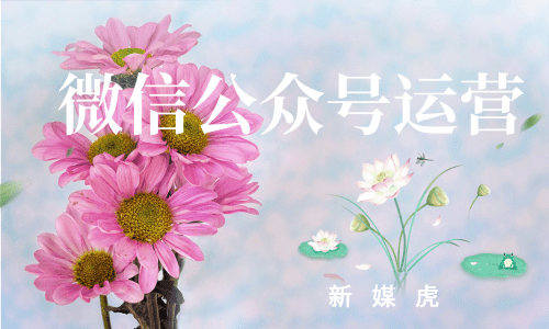 新媒虎-微信公众号怎么发文章 新媒虎-微信公众号怎么发文章