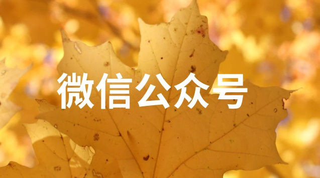 微信公众号.jpg